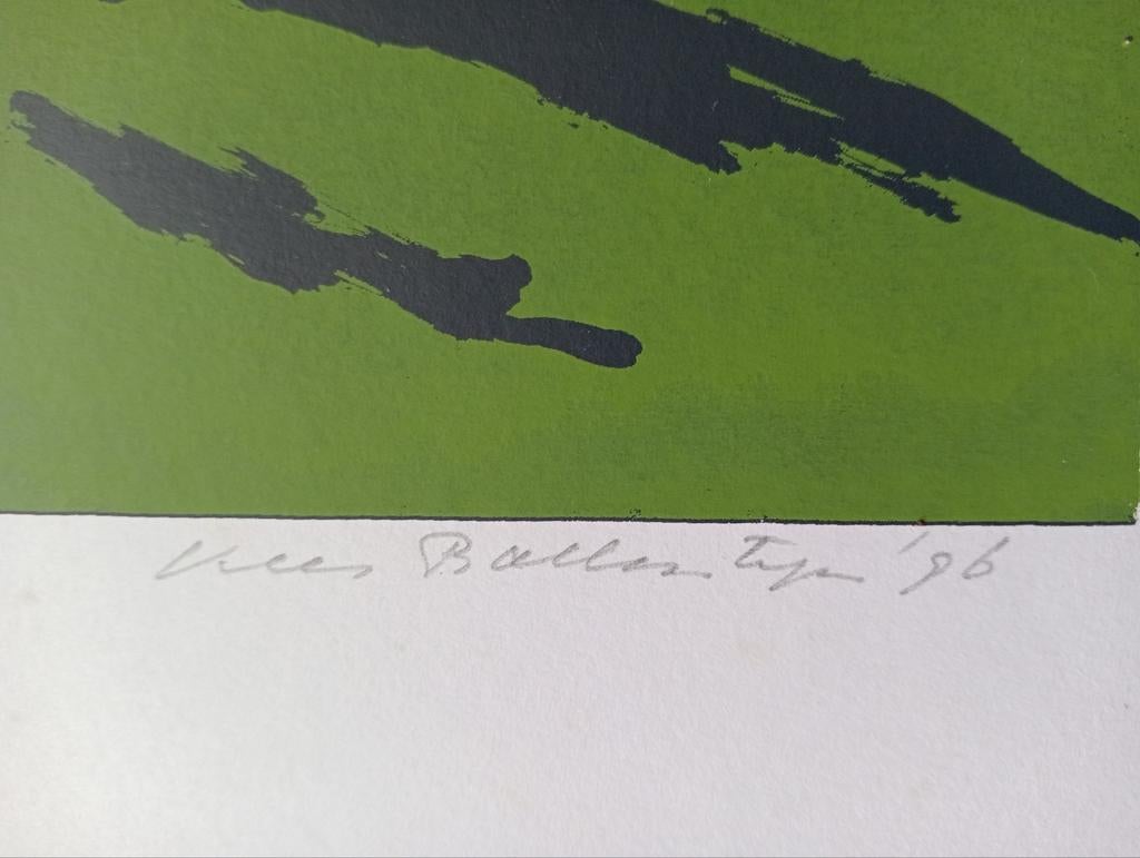 Kees Ballintijn Zeefdruk/Lithografie Landschap 1996, Antiek en Kunst, Kunst | Litho's en Zeefdrukken, Ophalen of Verzenden