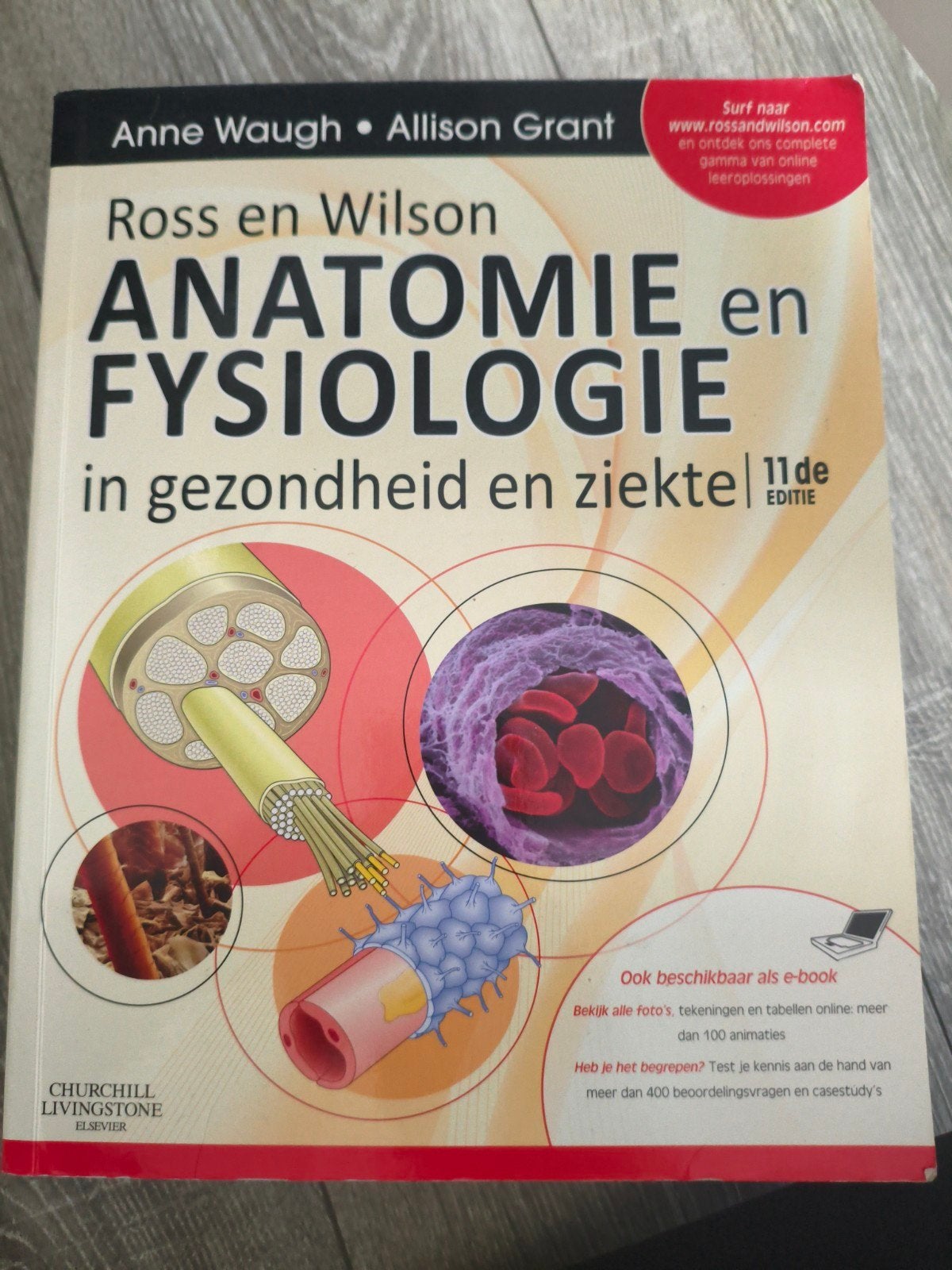 Ross en Wilson Anatomie en Fysiologie 11e editie, Boeken, Anne Waugh, Allison Grant, Zo goed als nieuw, Beta, HBO
