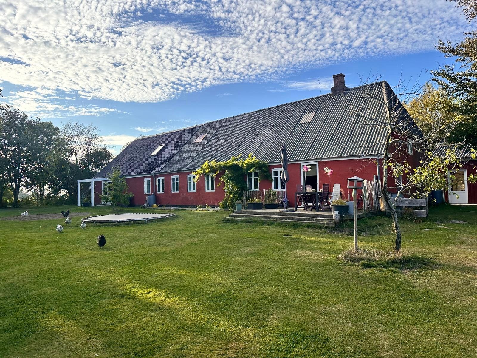 Huis in Zuid Denemarken te koop. Nieuwe fotos, Mjolden Skærbæk, 5 kamers, Vrijstaande woning, 1500 m² of meer
