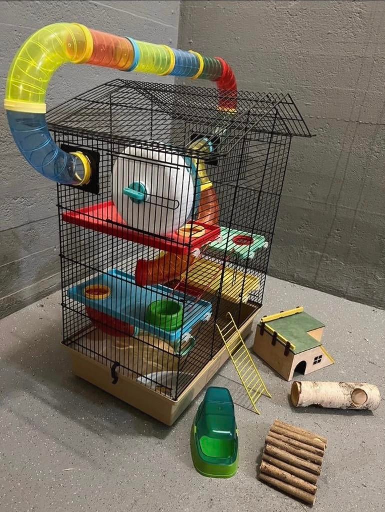 Hamsterkooi, Dieren en Toebehoren, Kooi, Minder dan 75 cm, Ophalen of Verzenden, Zo goed als nieuw