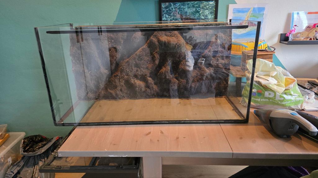 Terrarium met zelfgemaakte achterwand, Dieren en Toebehoren, Ophalen, Zo goed als nieuw, Terrarium of Paludarium