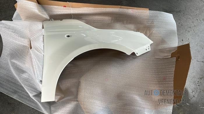 Scherm rechts-voor van een Fiat 500 (268A), -, -, Nieuw, Ophalen of Verzenden