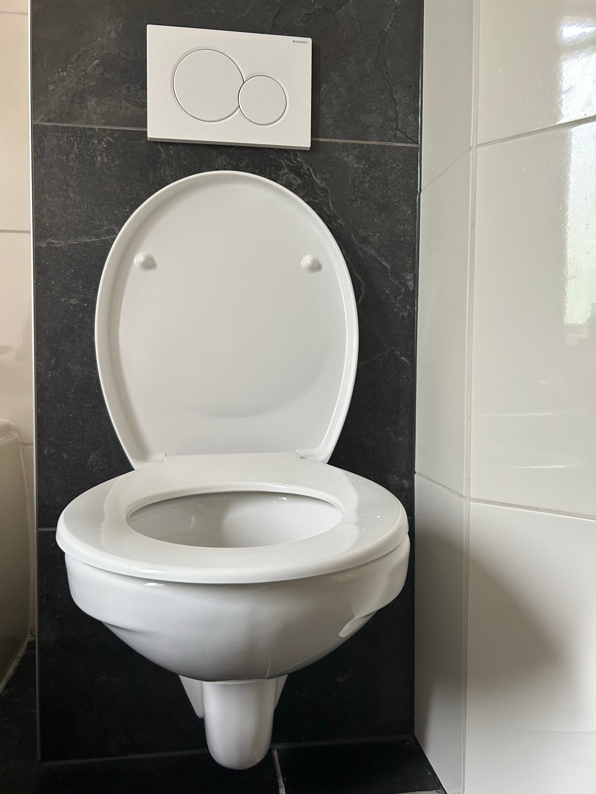 Geberit wc compleet - Zo goed als nieuw, Ophalen, Zo goed als nieuw, Toilet