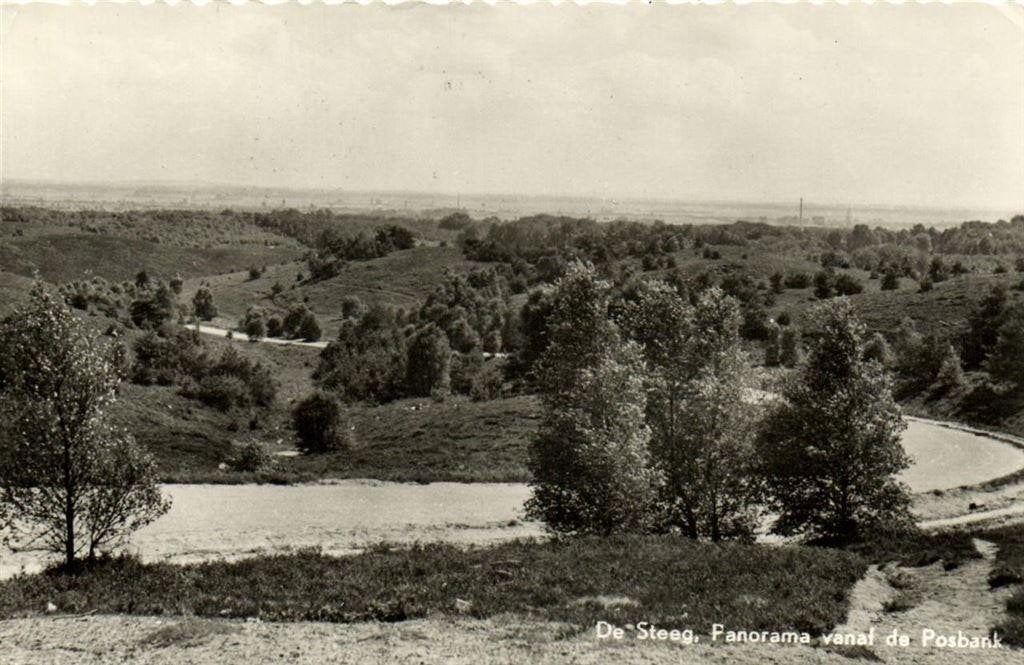 De Steeg, Panorama vanaf de Posbank - 1953 gelopen, Ophalen of Verzenden, 1940 tot 1960, Gelopen, Gelderland