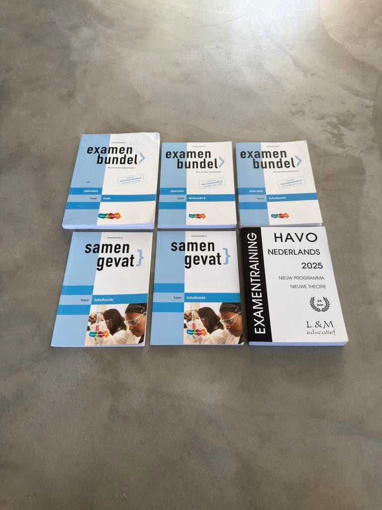 HAVO Examenbundels & Samengevat Bundle, Ophalen of Verzenden, Beta, Gelezen, HBO