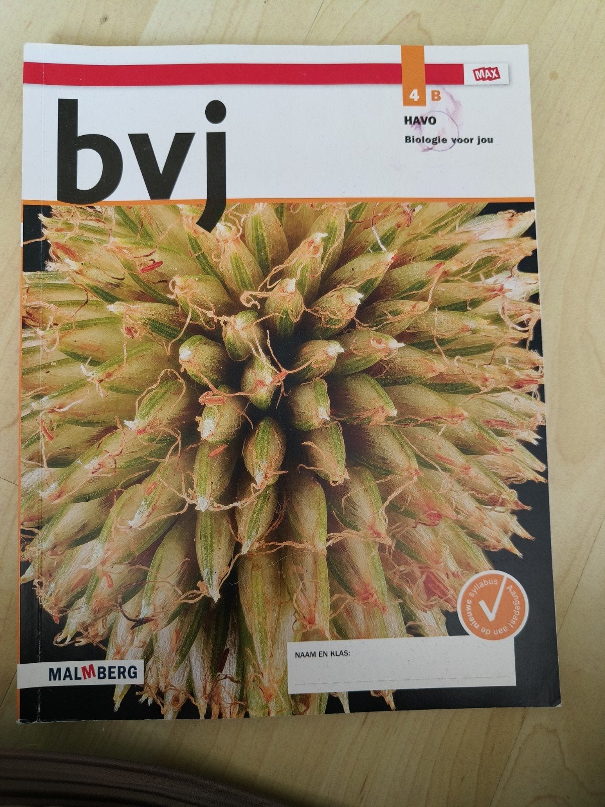 Bvj Biologie voor jou 4B HAVO - Onbeschreven en ongemakeerd, Ophalen of Verzenden, Beta, Zo goed als nieuw, HBO