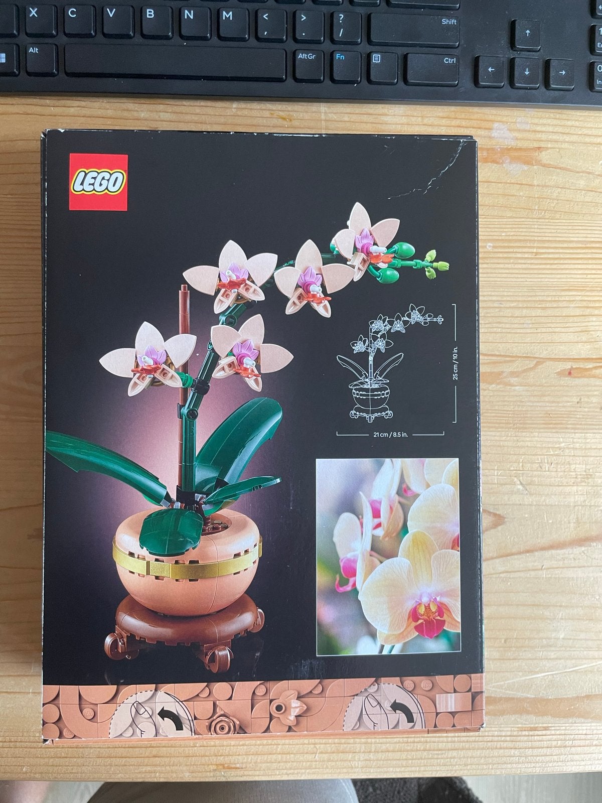 LEGO Botanicals Mini Orchidee 10343 - Nieuw in doos, Ophalen, Nieuw