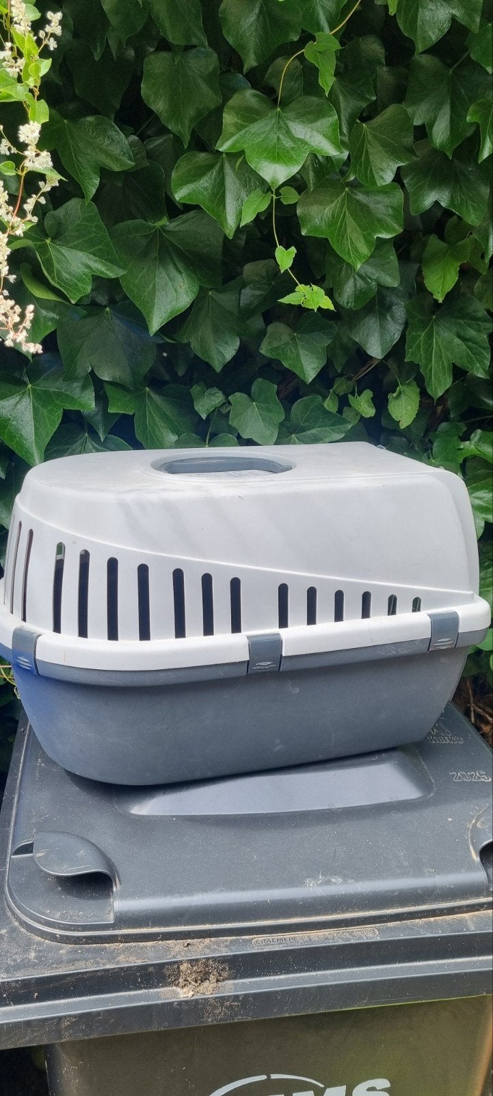 katten vervoersmand reismand, Ophalen