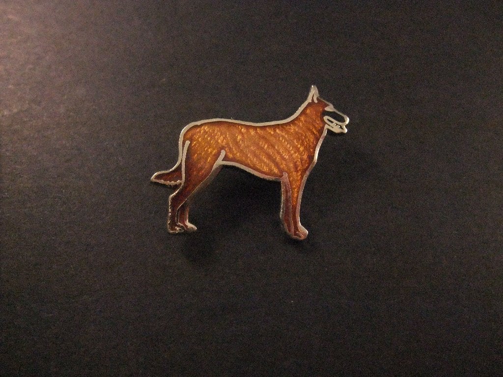 Dobermann waak- en verdedigingshond, emaille pin, Verzamelen, Ophalen of Verzenden, Gebruikt, Overige onderwerpen