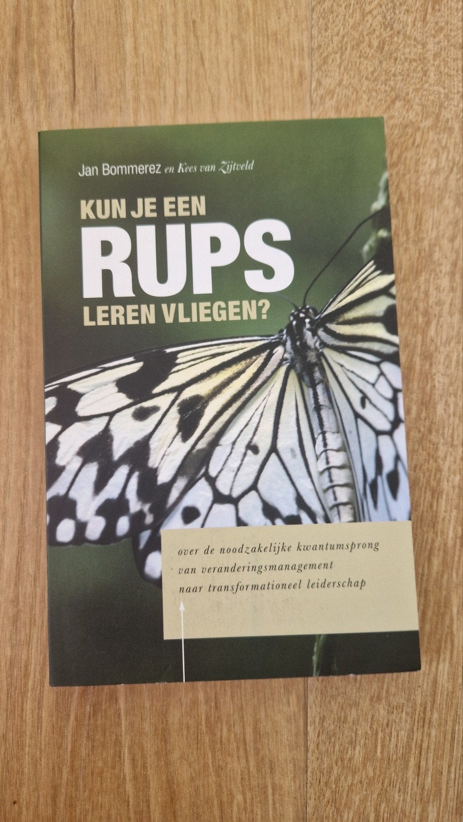 Jan Bommerez - Kun je een rups leren vliegen?, Ophalen of Verzenden, Zo goed als nieuw, Jan Bommerez; K.C.G. van Zijtveld