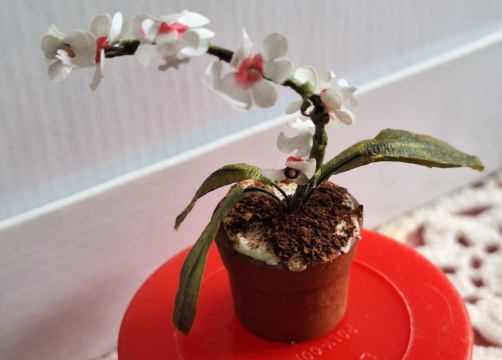 Orchidee voor in het poppenhuis, Ophalen of Verzenden, Gebruikt, Poppenhuis