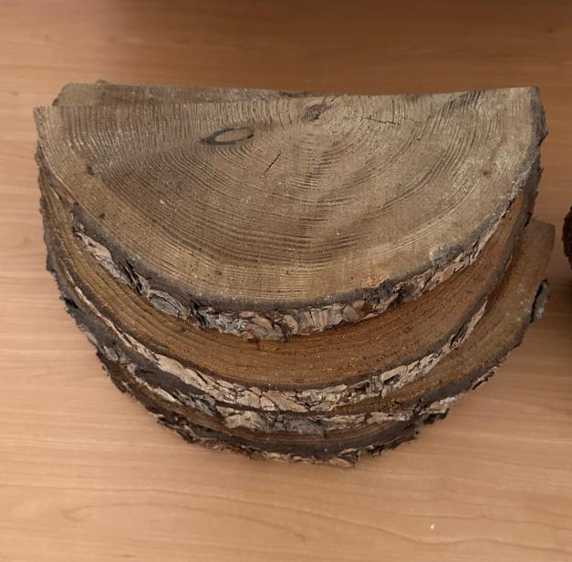 Decoratieve boomstam schijven 35 cm Wanddecoratie 8 stuks, Ophalen, Gebruikt, Minder dan 25 mm, Plank
