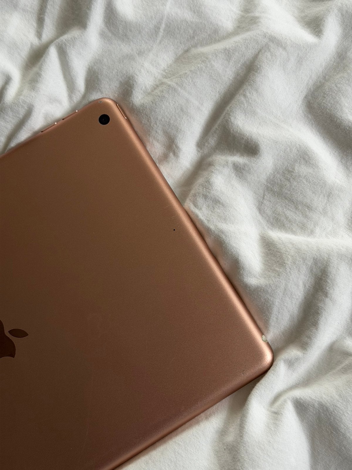 Foto 6 van iPad 7e generatie rose gold