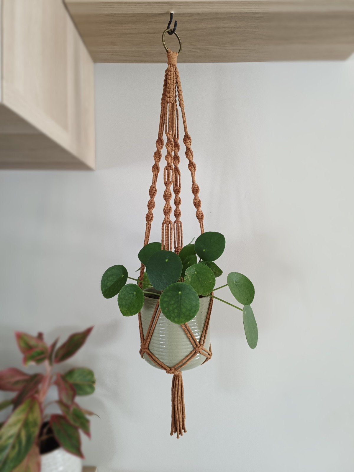 macramé plantenhanger, Ophalen of Verzenden, Nieuw