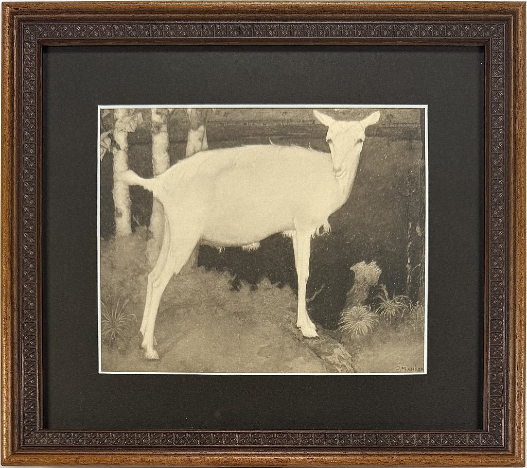 42. Heliogravure, Jan Mankes -"jonge witte geit", Antiek en Kunst, Ophalen of Verzenden