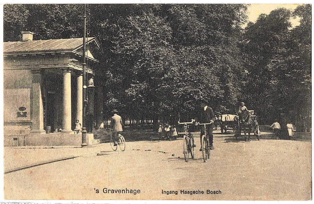 Den Haag 035,Ingang Haagsche Bosch,ongelopen,richtprijs 5,50, Verzenden, Voor 1920, Ongelopen, Zuid-Holland