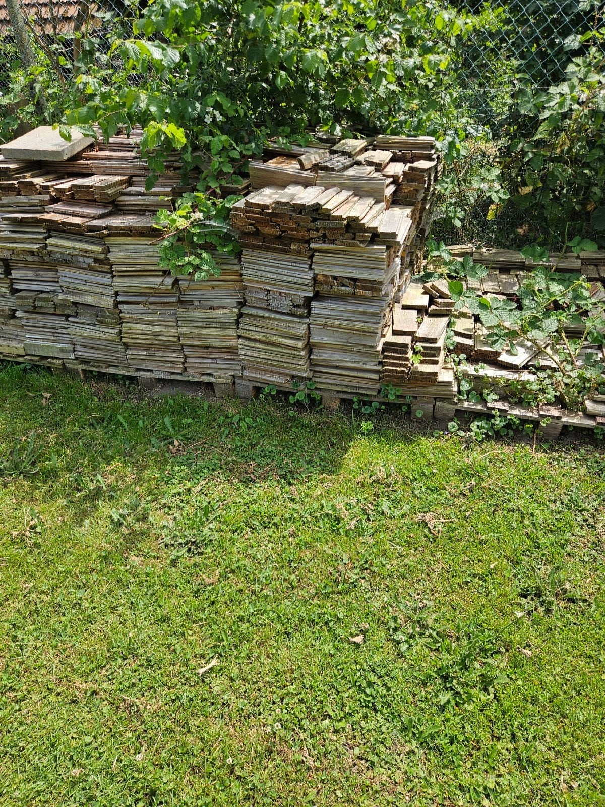 Aanmaakhout brandhout 3 pallets, Minder dan 3 m³, Ophalen