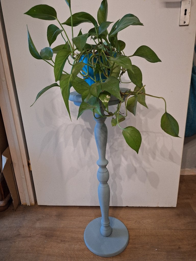 Plantetafeltje, Ophalen