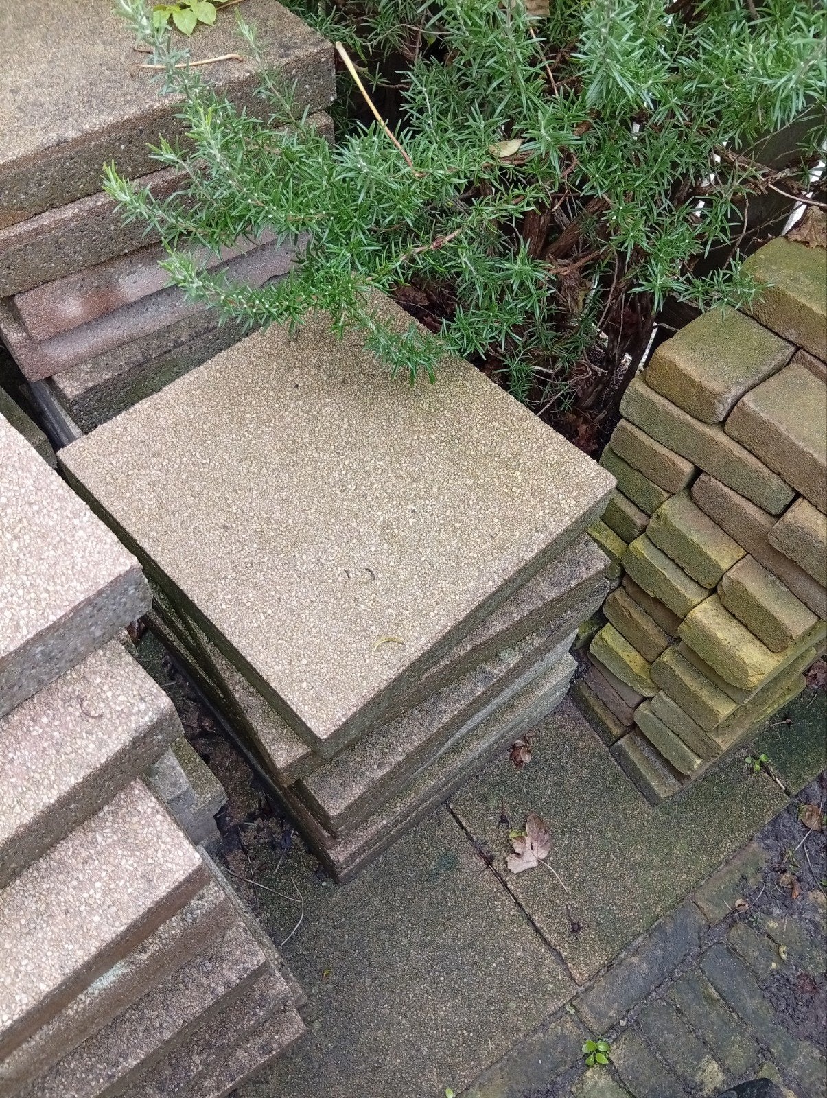 Gratis af te halen tuintegels, Ophalen, Gebruikt, Beton, Terrastegels