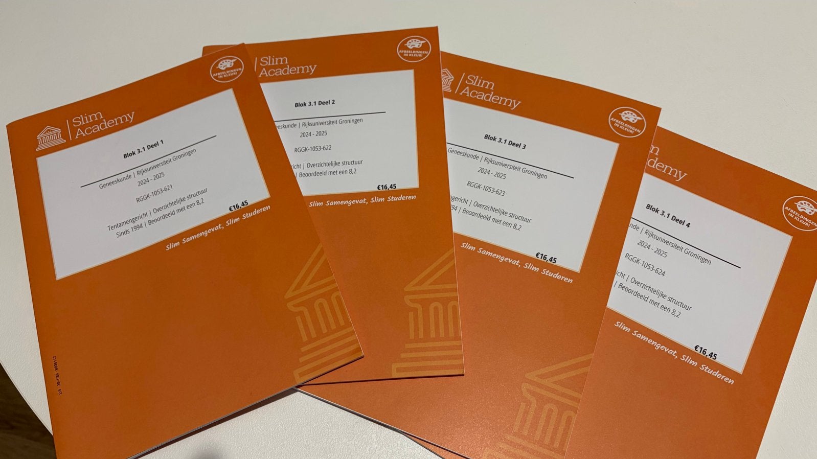 Slim Academy samenvatting Geneeskunde RUG Jaar 3 Semester 1, Boeken, Ophalen of Verzenden, Beta, Nieuw, WO
