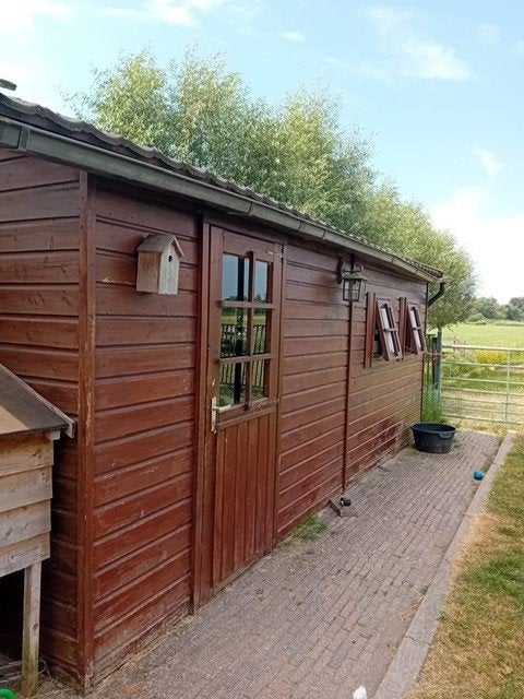 Schuur/stal/ schuilhok!, Dieren en Toebehoren, 2 of 3 paarden of pony's