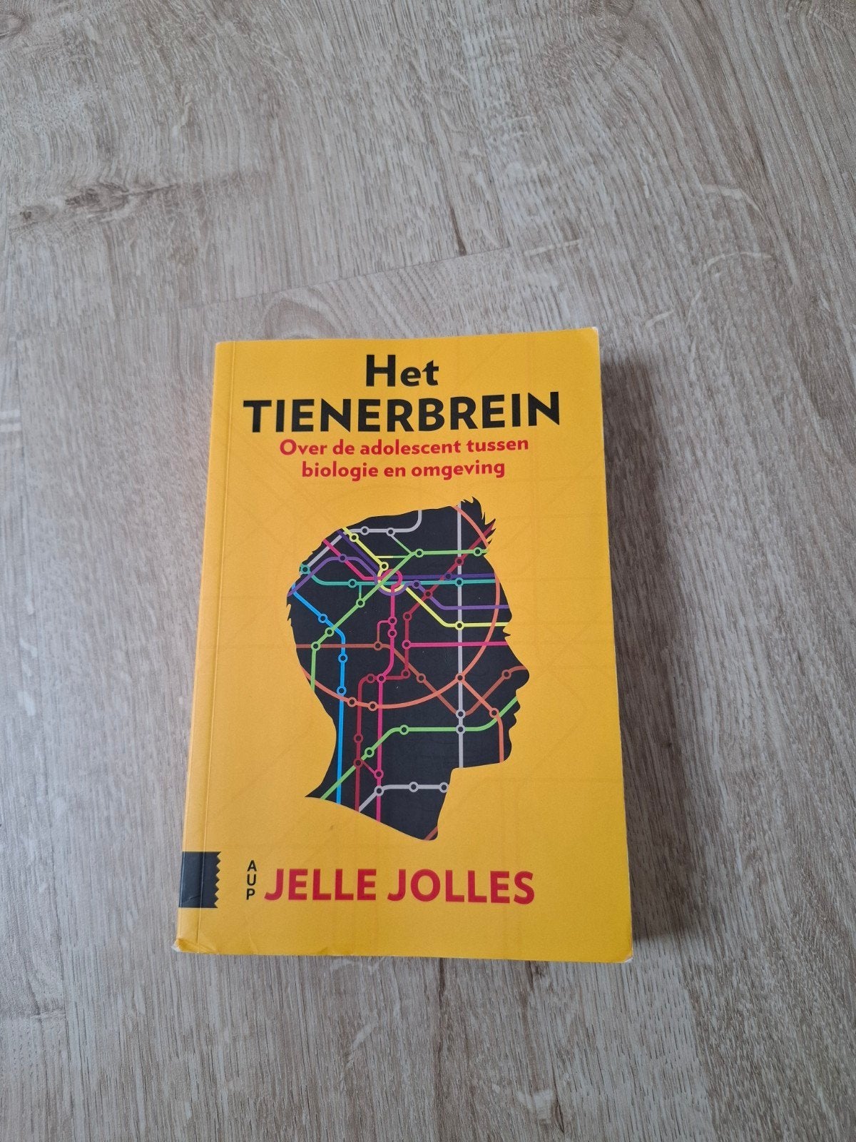 Het Tienerbrein - Jelle Jolles, Boeken, Ophalen, Zo goed als nieuw, Jelle Jolles