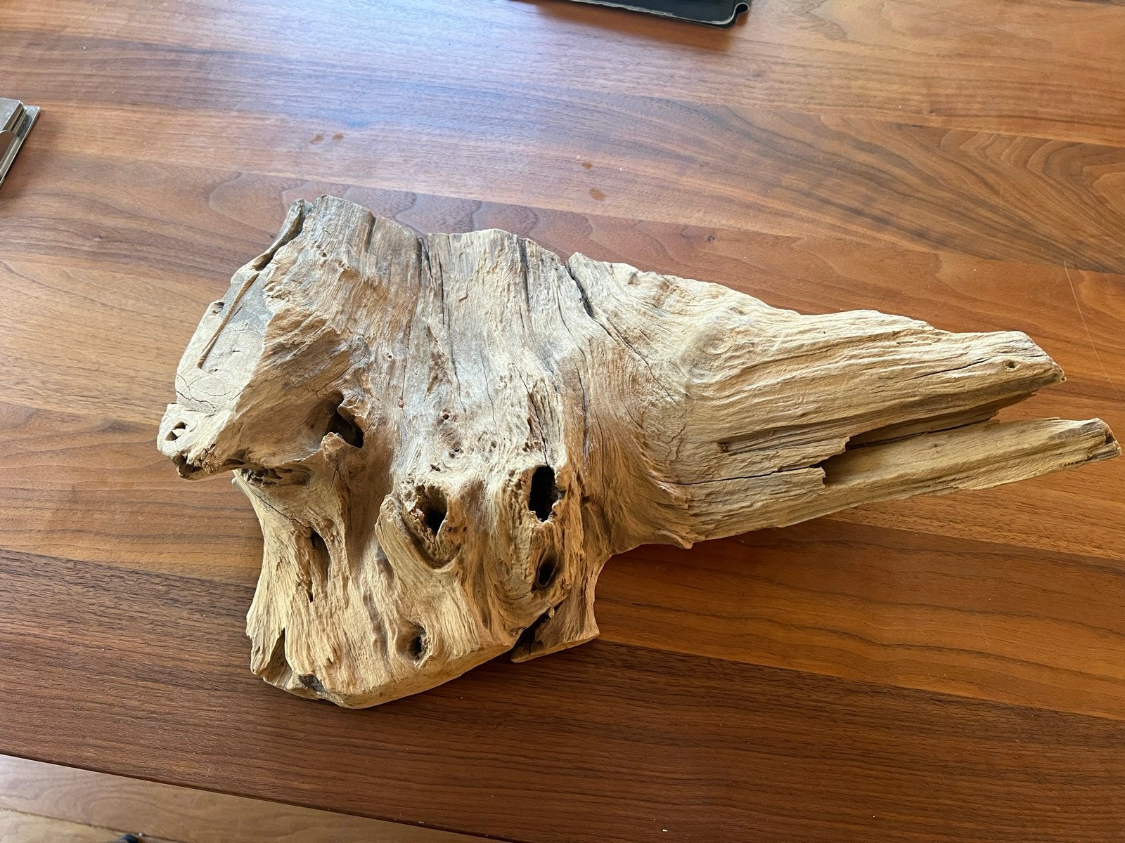 Decoratief drijfhout stuk 46x30 cm, Ophalen, Hout, Gebruikt, Landelijk