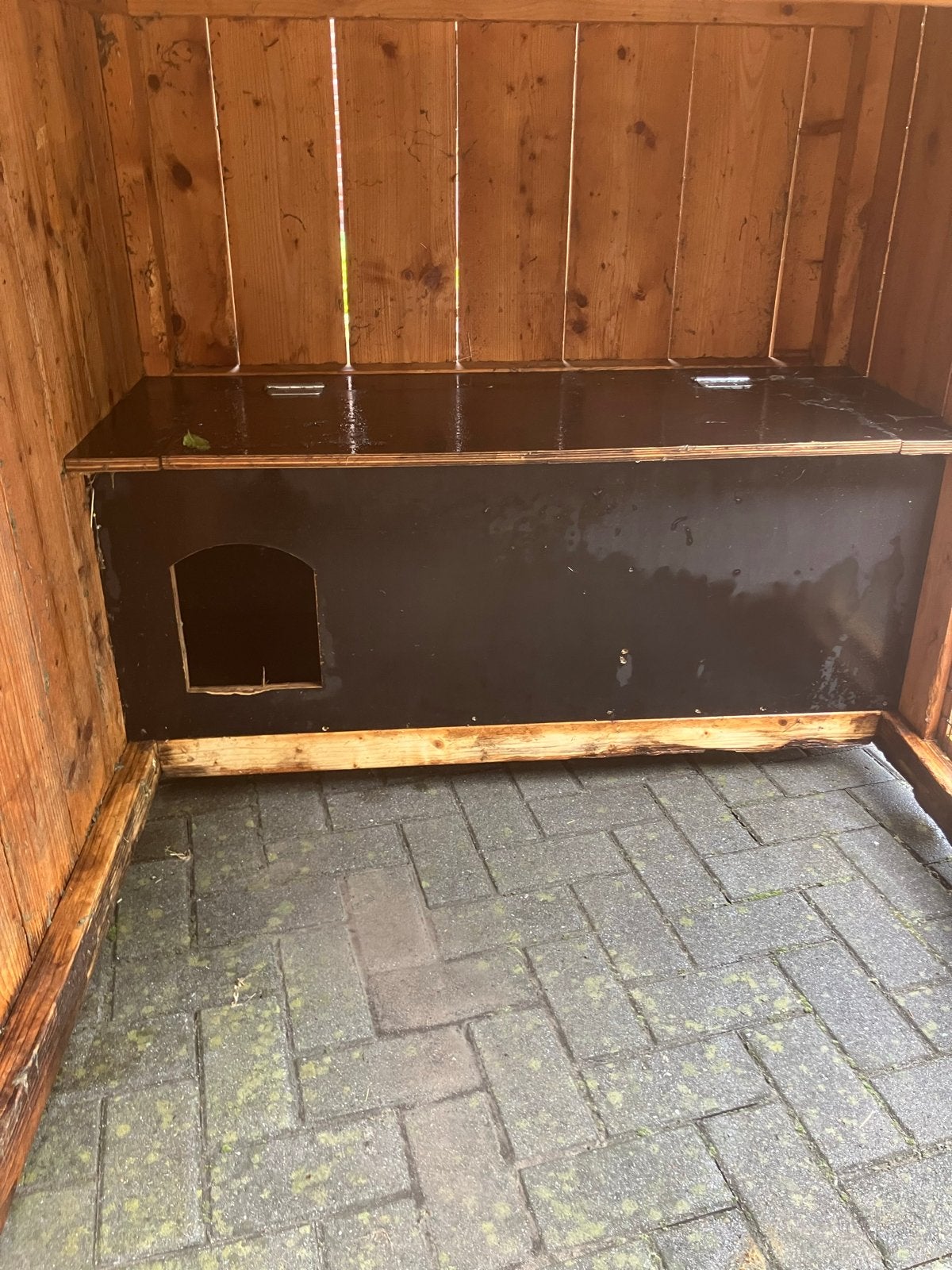 Konijnenhok, Ophalen, 110 cm of meer, Hok, 90 cm of meer