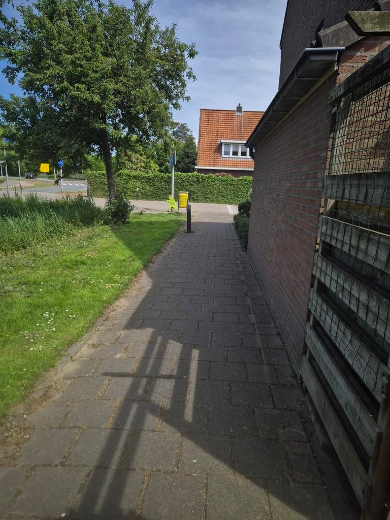 Oude schutting weghalen plus klimop en nieuwe neerzetten., Ophalen of Verzenden, Nieuw, IJzer, 1 tot 2 meter