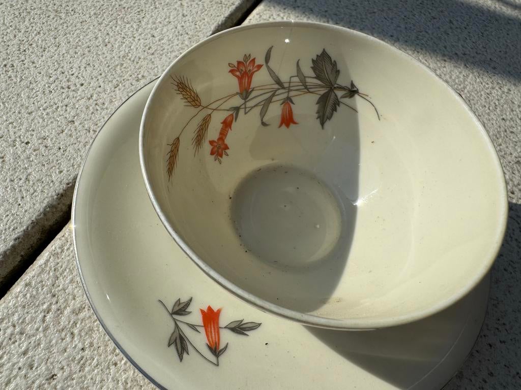 RFH Tsjechoslowakije servies met bloemen, Ophalen of Verzenden