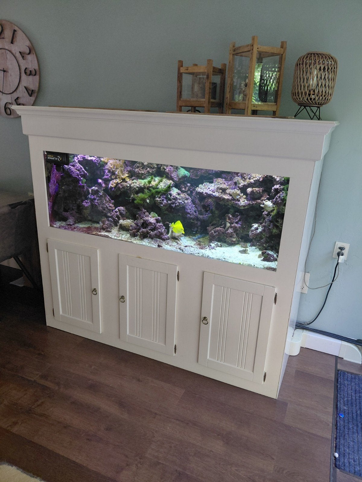 Zeeaquarium, Dieren en Toebehoren, Ophalen, Gevuld zeewateraquarium