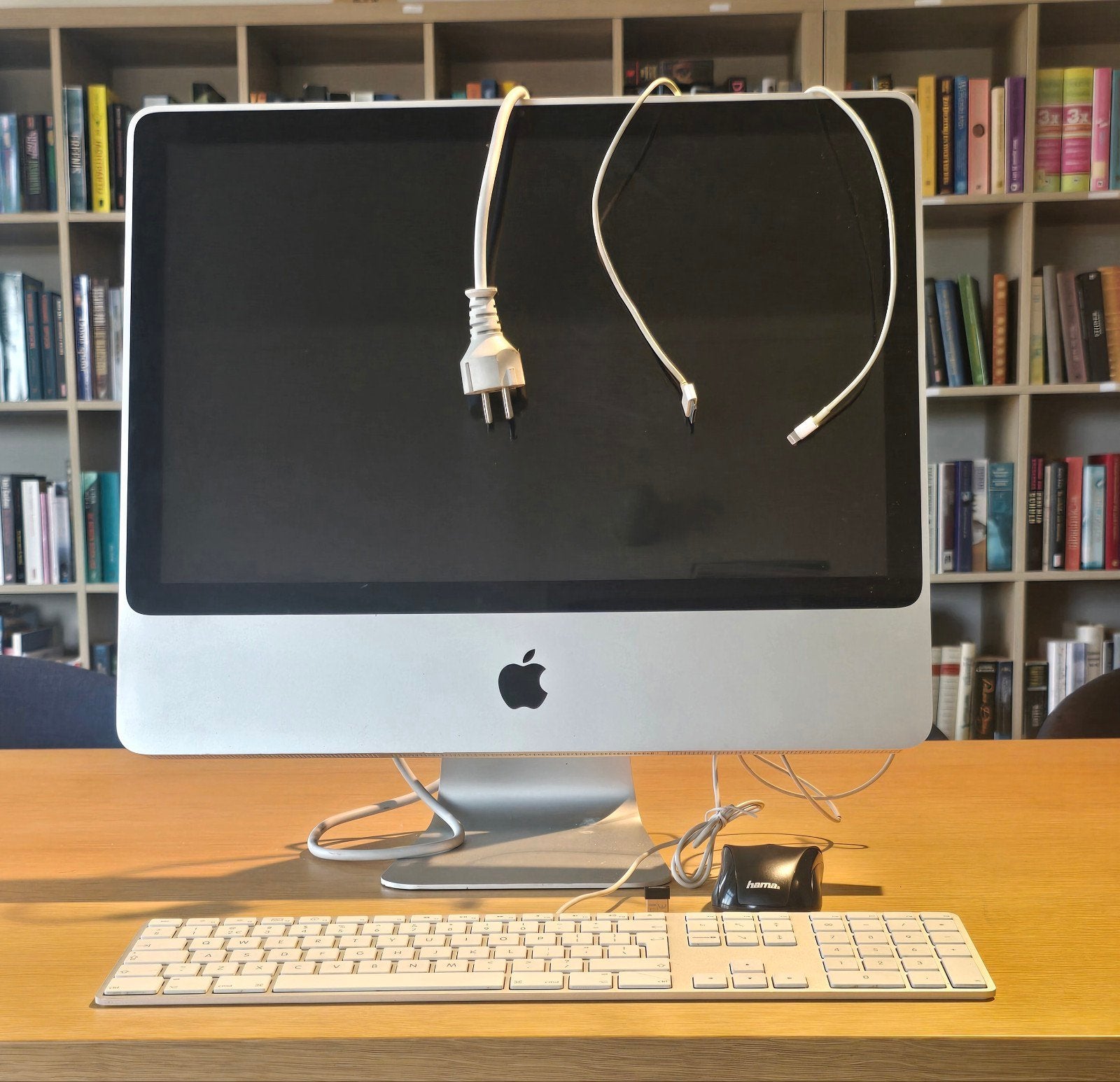 Apple Imac 21,5 Desktop Scherm 2009 A1243 Kabels Muis, Computers en Software, Apple Desktops, 21,5 inch, Ophalen, IMac