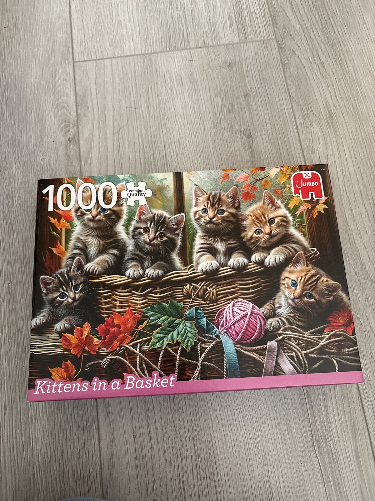 Jumbo Legpuzzel 1000 stukjes - Kittens in een Mand