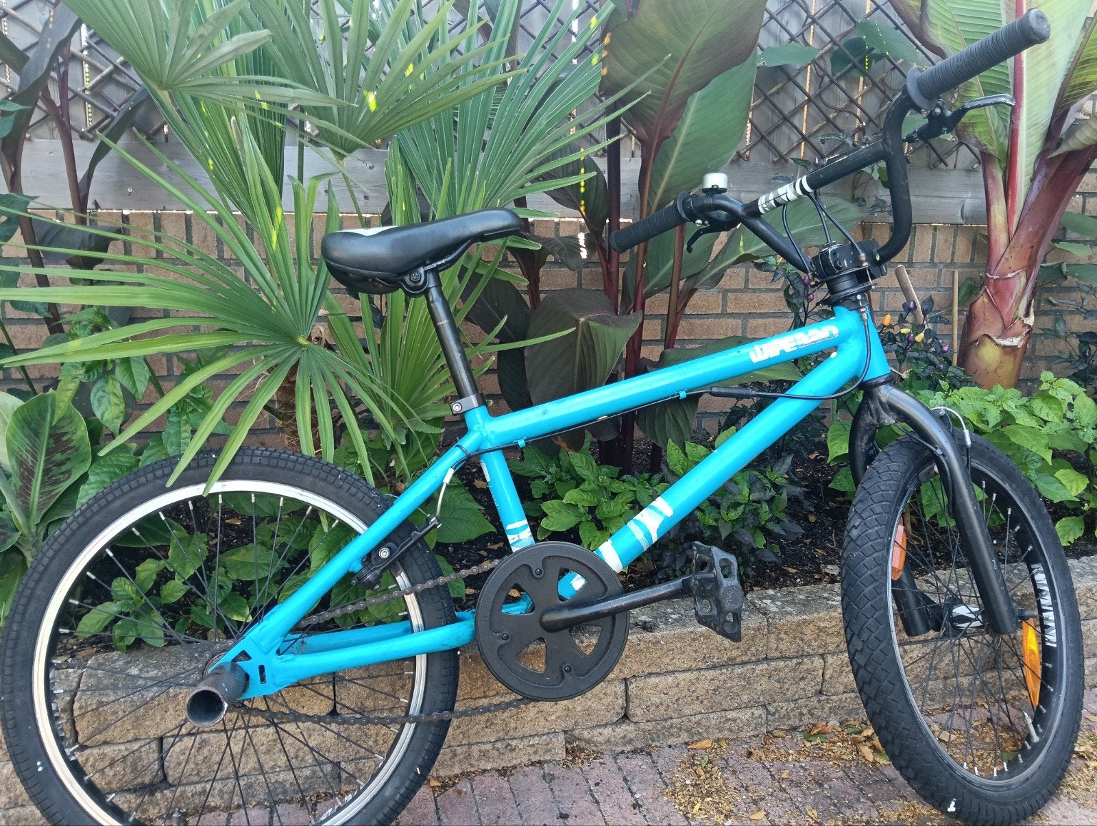 BMX fiets, Fietsen en Brommers, Fietsen | Crossfietsen en BMX, Ophalen, Velgrem, Voetsteunen, 16 tot 20 inch