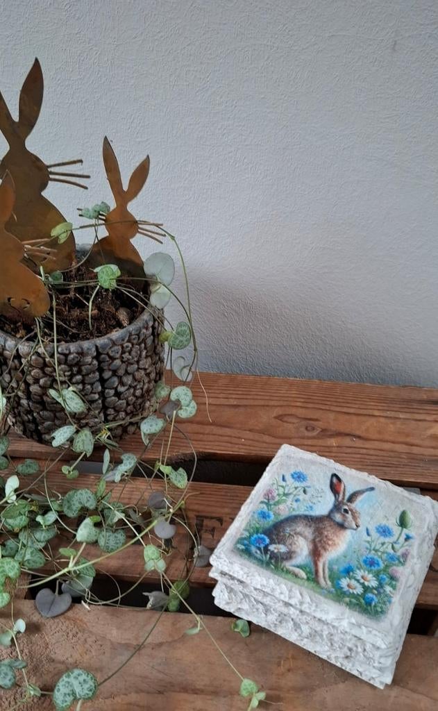 Mooie lente onderzetters., Ophalen of Verzenden