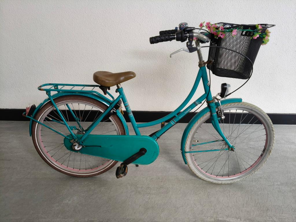 24 inch Alpina Tingle meisjesfiets, Ophalen, Terugtraprem, Alpina, Versnellingen