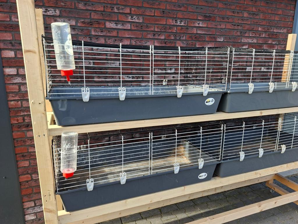 Konijnenhok/flat, Dieren en Toebehoren, Knaagdieren en Konijnen | Hokken en Kooien, Ophalen, 110 cm of meer, Hok, 90 cm of meer