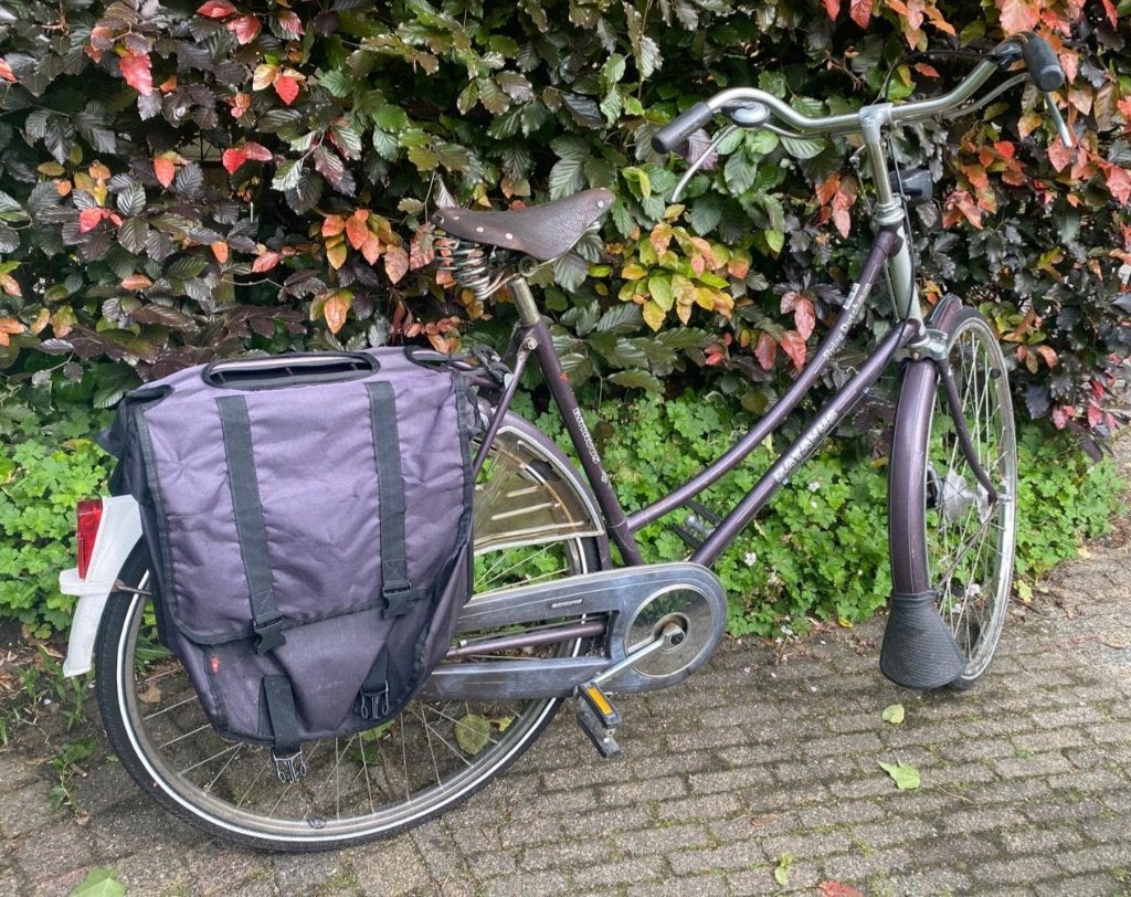 Studenten damesfiets Batavus, Fietsen en Brommers, Versnellingen, Trommelrem, Ophalen, Overige merken
