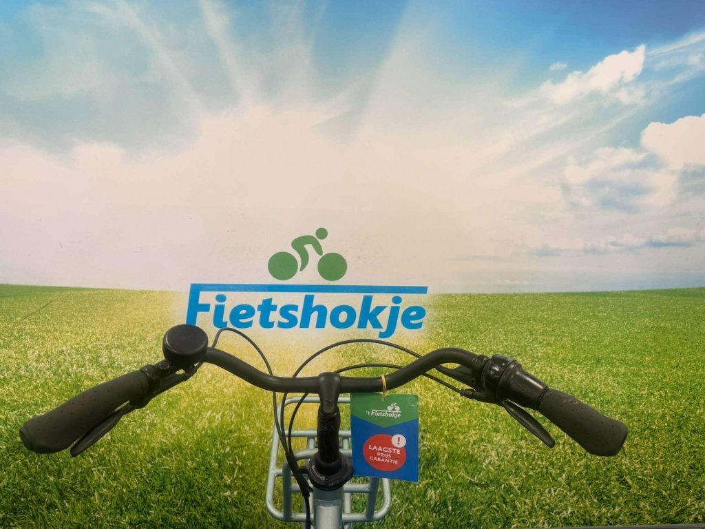 Fietshokje Amersfoort: Batavus Quip damesfiets N7 H55, Niet ingevuld, Versnellingen, Ophalen of Verzenden, Schijfrem