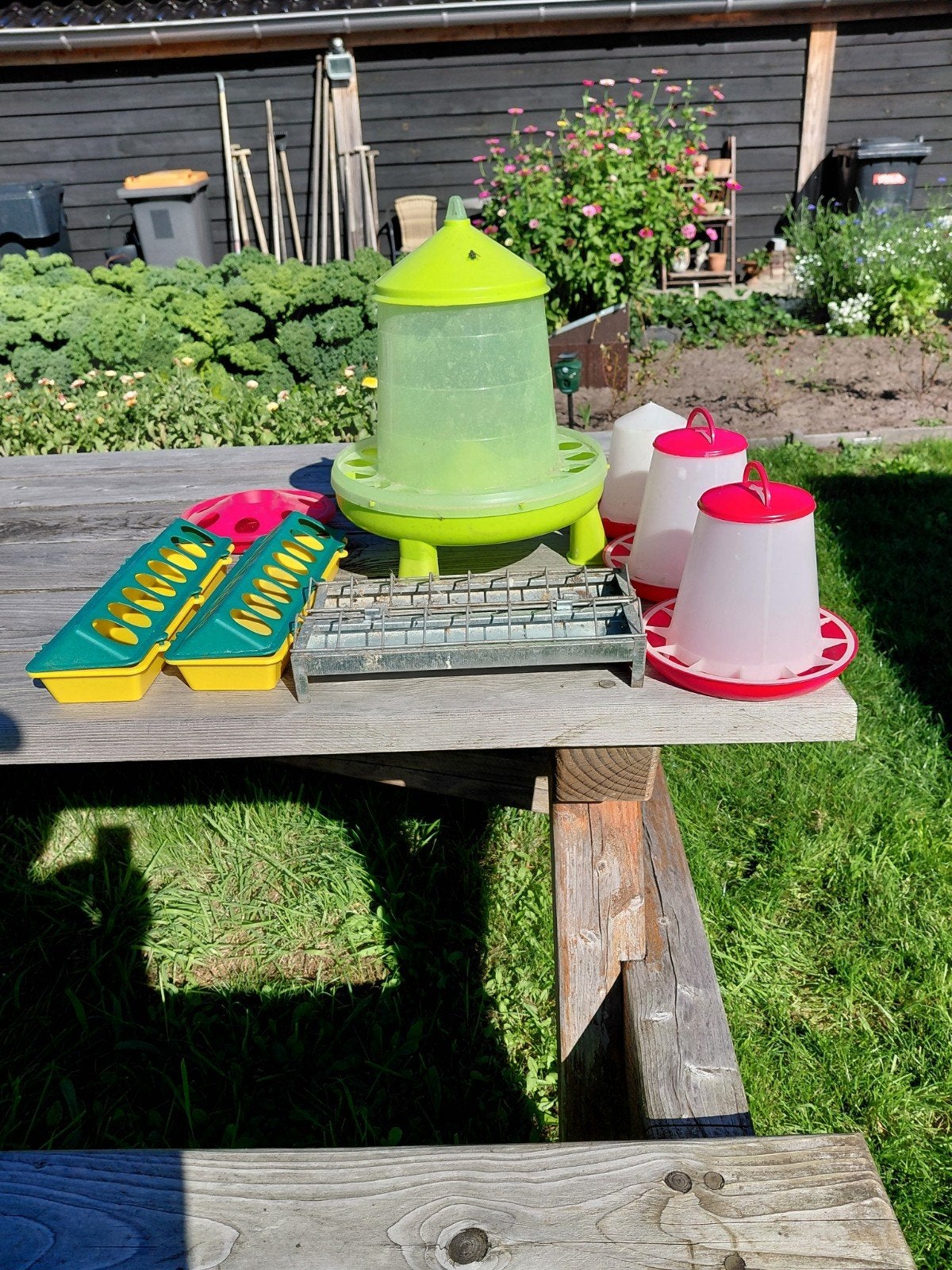 Diverse kippen assesoires te koop, Geslacht onbekend, Kip