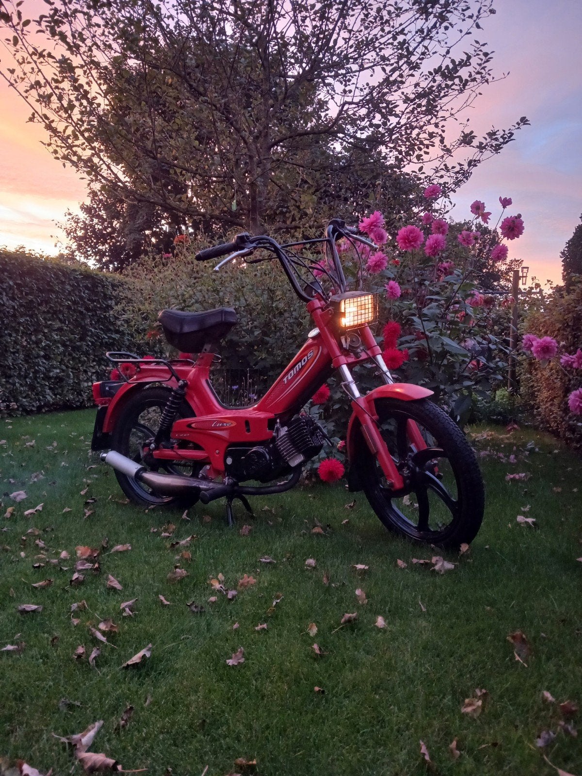 tomos 65cc e-start met kenteken, Ophalen, Overige modellen, 65 cc, 2 versnellingen