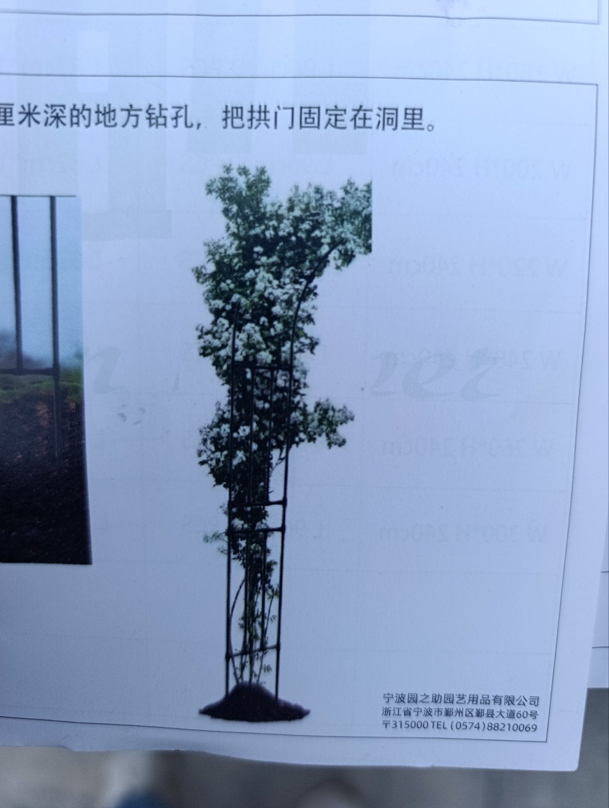 Klimrek voor planten - Stevige metalen plantensteun, Ophalen of Verzenden, Eenjarig, Klimplanten, Volle zon
