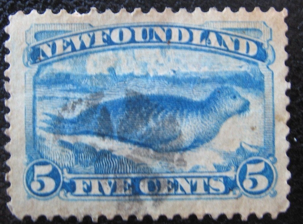 NEWFOUNDLAND 5 - Dieren: zoogdieren (zeehond), Postzegels en Munten, Ophalen of Verzenden, Gestempeld, Dier of Natuur