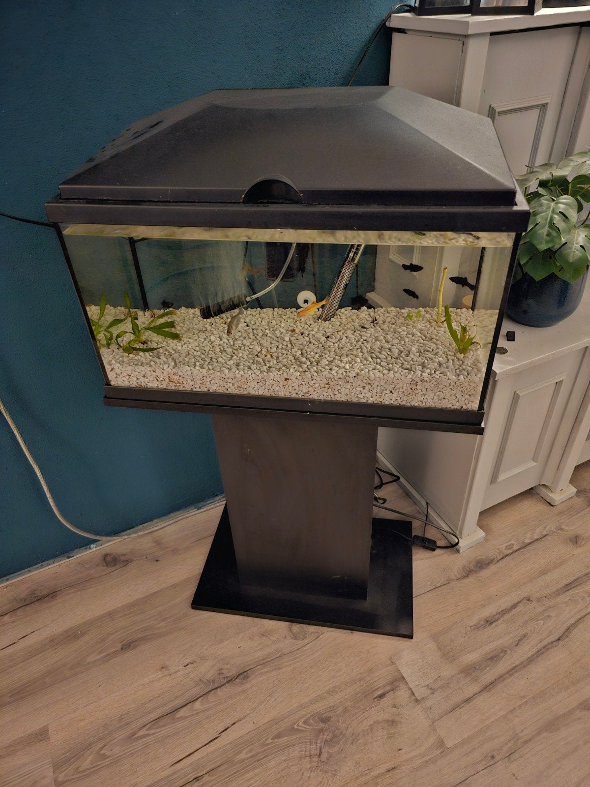 aquarium op poot., Ophalen, Gebruikt, Leeg aquarium