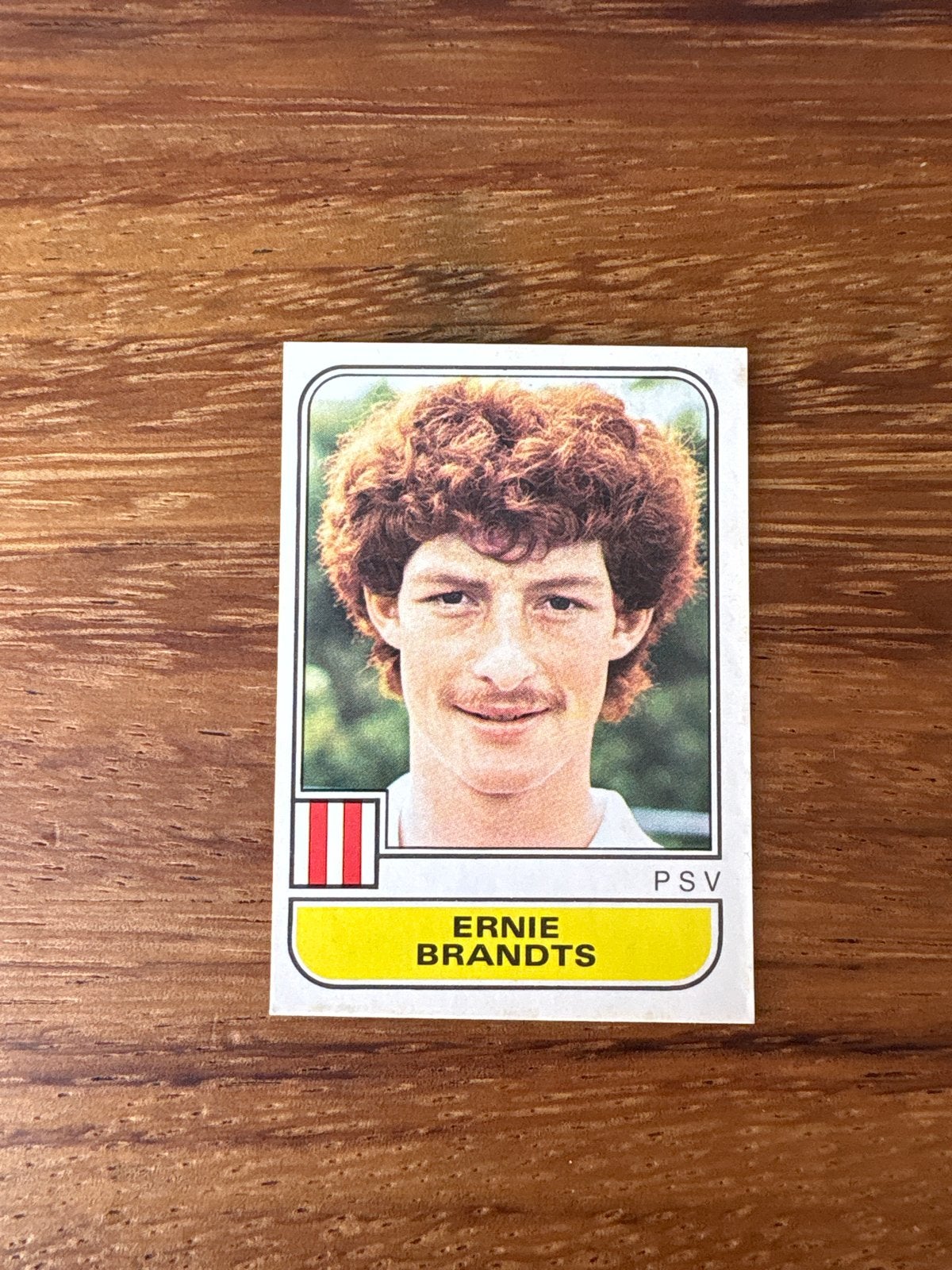 Panini Voetbal 1982 Ernie Brandts PSV Plaatje #238, Hobby en Vrije tijd, Stickers en Plaatjes, Ophalen of Verzenden, Zo goed als nieuw
