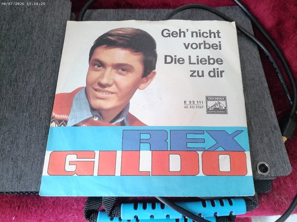 Rex Gildo - Geh nicht vorbei / Die Liebe zu dir, Gebruikt, Fotohoes, 7 inch, Overige typen