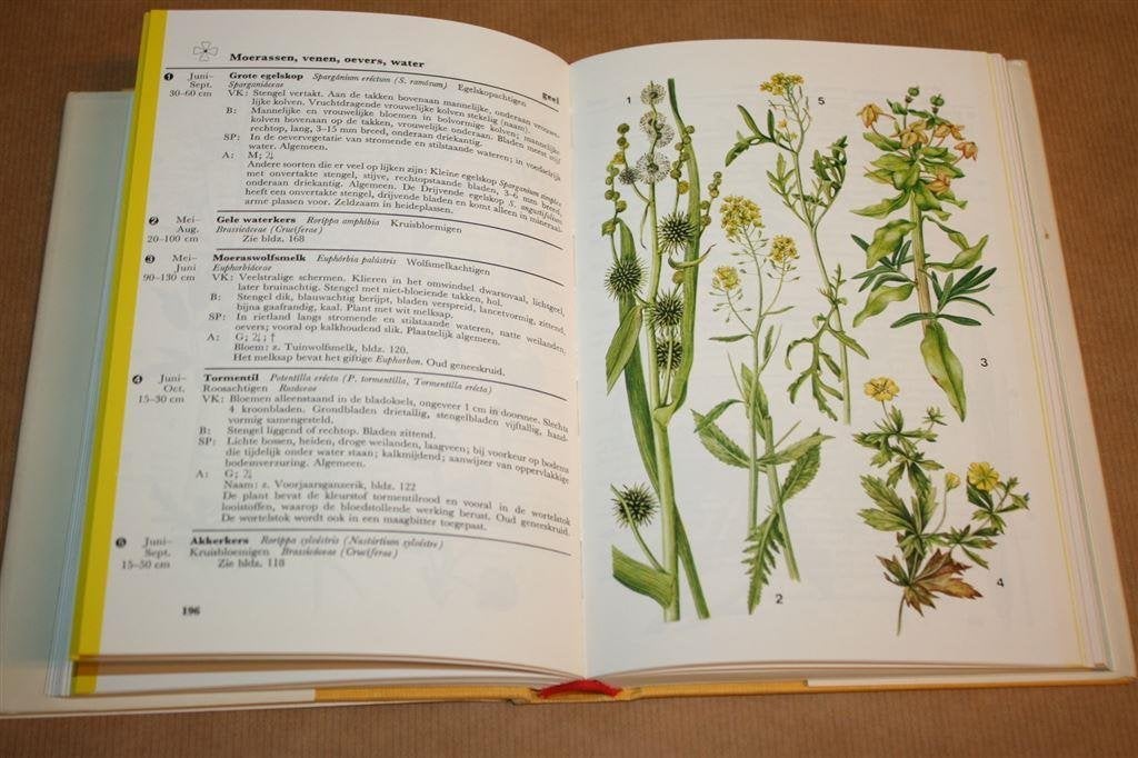 Wat bloeit daar? Wilde bloemplanten Ned, Midden-Europa, Boeken, Natuur, Ophalen of Verzenden, Gelezen