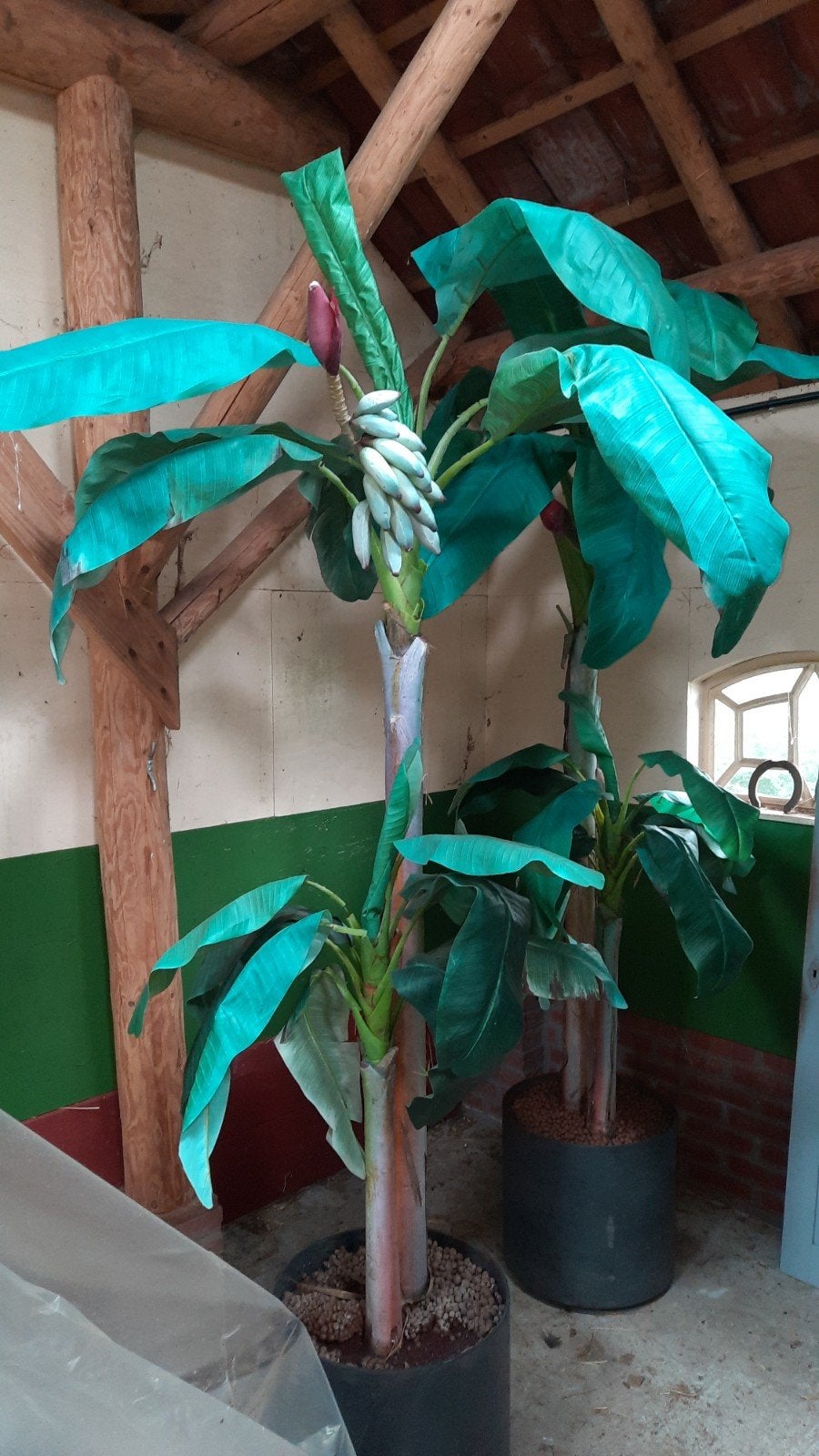 2 Grote Bananenplanten met bananen en bloemen Zwarte Potten, Huis en Inrichting, Ophalen, Binnen, Kunstplant, Kunststof