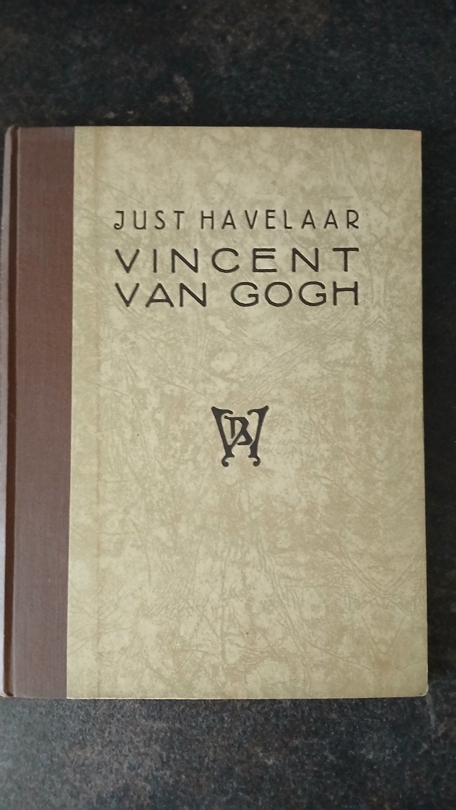 Just Havelaar Vincent van Gogh Boek, Boeken, Literatuur, Gelezen, Nederland, Ophalen of Verzenden