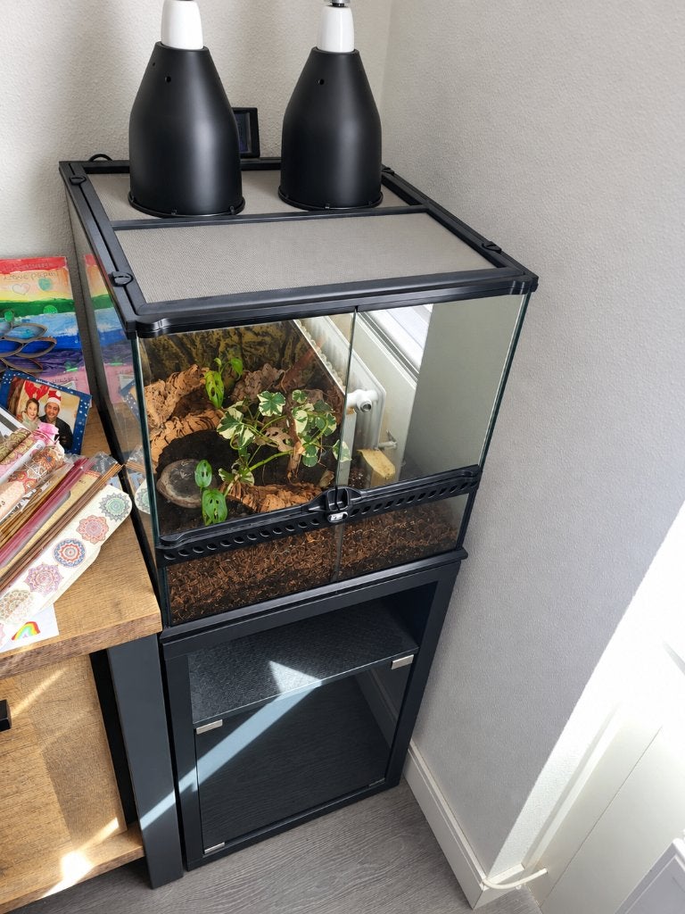 Terrarium exo 45x45x45 met of zonder toebehorenen, Dieren en Toebehoren, Ophalen, Zo goed als nieuw, Terrarium of Paludarium